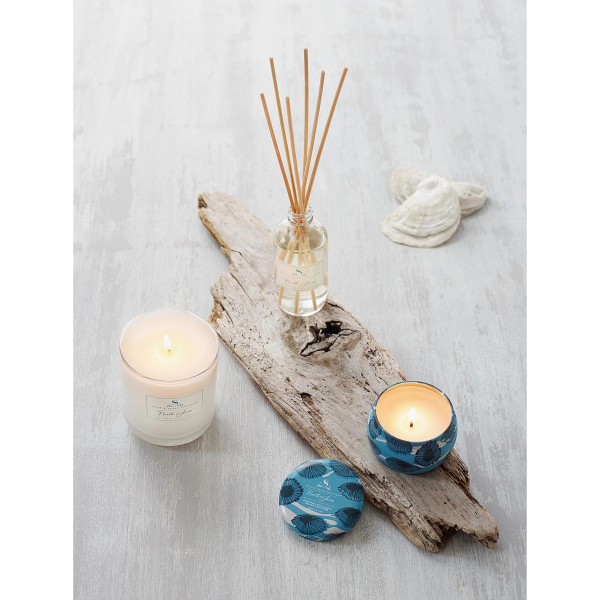 Soap & Paper Factory North Shore Large Soy Candle (9.5 oz) #10084879 For Sale - Image 5